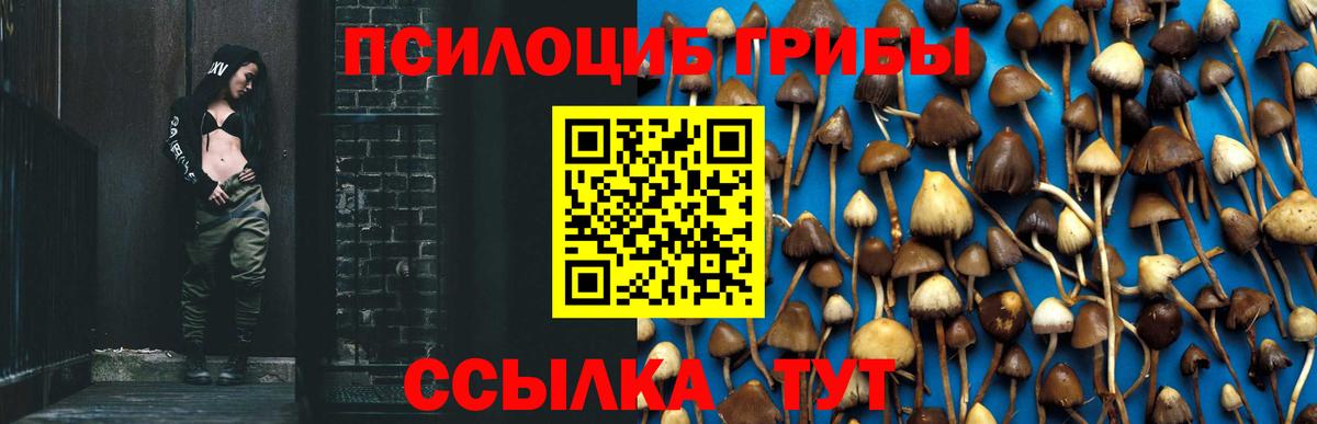 Галлюциногенные грибы GOLDEN TEACHER Гусь-Хрустальный