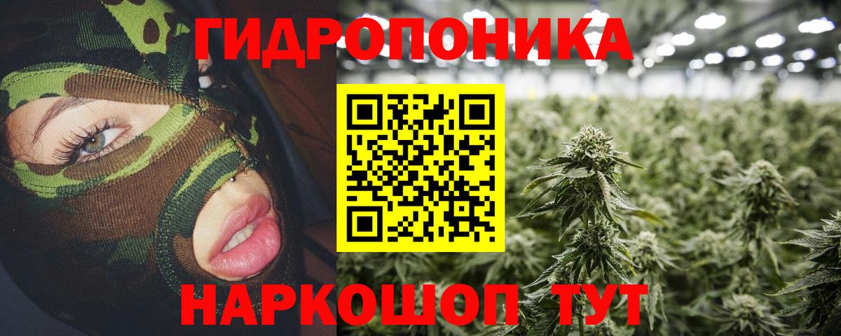 Шишки марихуана сатива Гусь-Хрустальный